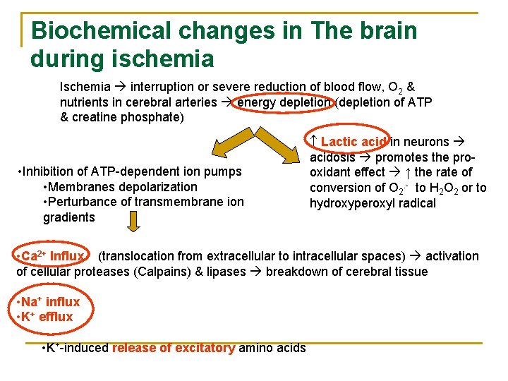 Biochemical changes in The brain during ischemia Ischemia interruption or severe reduction of blood
