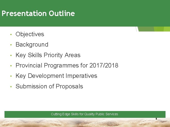 Presentation Outline • Objectives • Background • Key Skills Priority Areas • Provincial Programmes