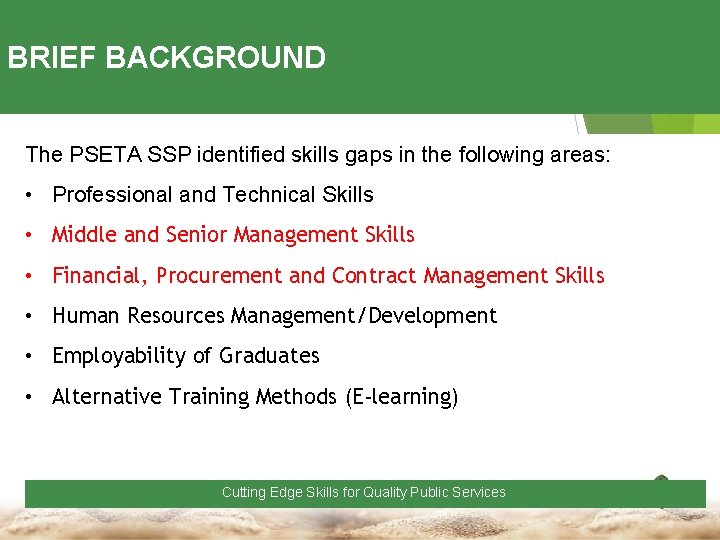 BRIEF BACKGROUND The PSETA SSP identified skills gaps in the following areas: • Professional