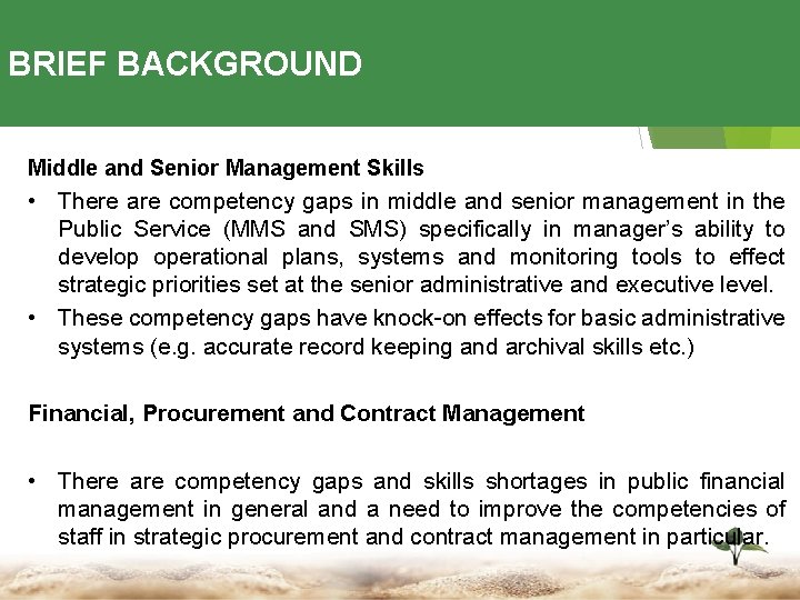 BRIEF BACKGROUND Middle and Senior Management Skills • There are competency gaps in middle