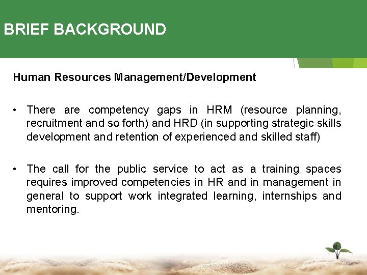 BRIEF BACKGROUND Human Resources Management/Development • There are competency gaps in HRM (resource planning,