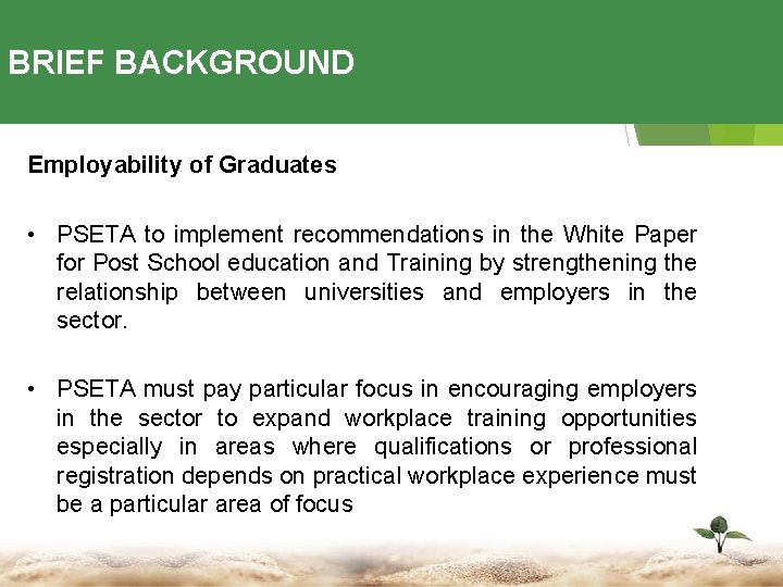 BRIEF BACKGROUND Employability of Graduates • PSETA to implement recommendations in the White Paper