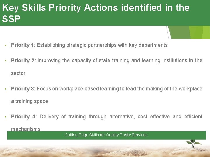Key Skills Priority Actions identified in the SSP • Priority 1: Establishing strategic partnerships