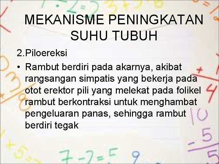 MEKANISME PENINGKATAN SUHU TUBUH 2. Piloereksi • Rambut berdiri pada akarnya, akibat rangsangan simpatis