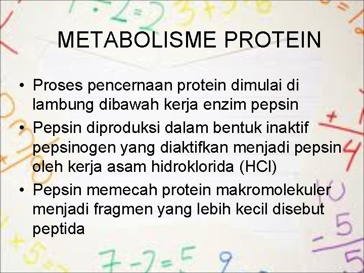 METABOLISME PROTEIN • Proses pencernaan protein dimulai di lambung dibawah kerja enzim pepsin •