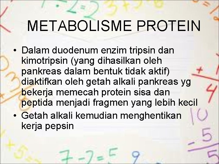 METABOLISME PROTEIN • Dalam duodenum enzim tripsin dan kimotripsin (yang dihasilkan oleh pankreas dalam