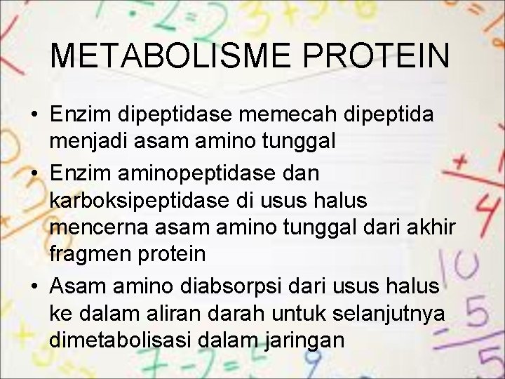 METABOLISME PROTEIN • Enzim dipeptidase memecah dipeptida menjadi asam amino tunggal • Enzim aminopeptidase