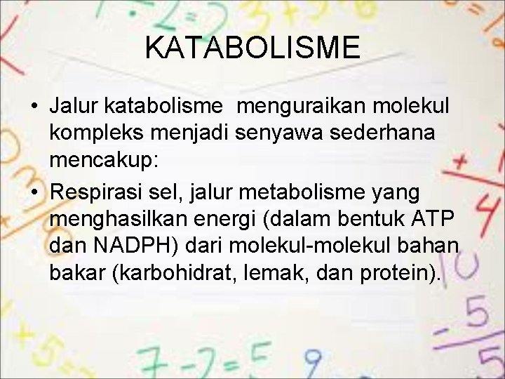 KATABOLISME • Jalur katabolisme menguraikan molekul kompleks menjadi senyawa sederhana mencakup: • Respirasi sel,