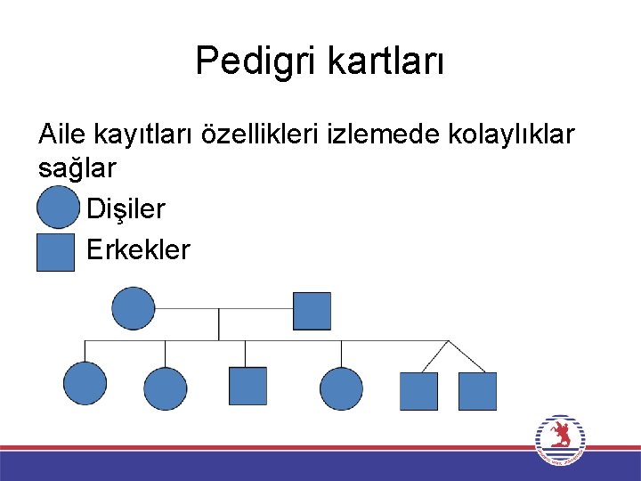 Pedigri kartları Aile kayıtları özellikleri izlemede kolaylıklar sağlar Dişiler Erkekler 