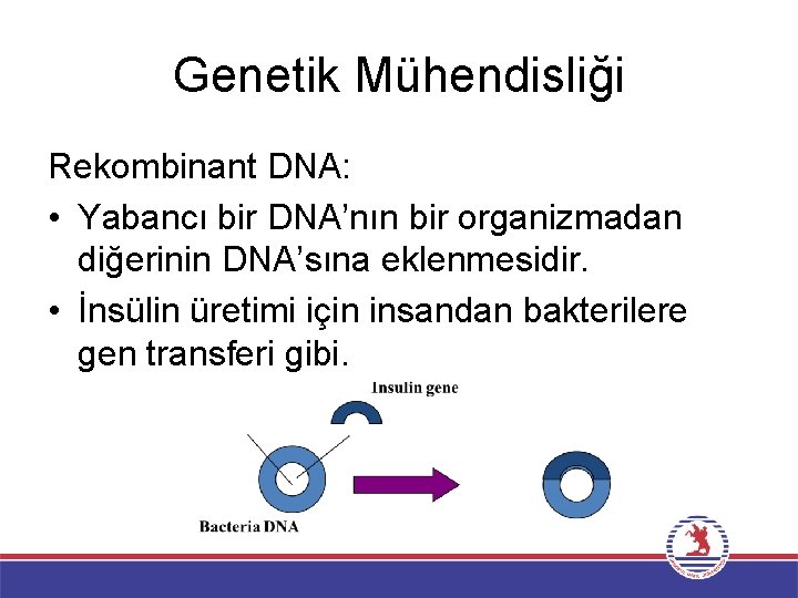 Genetik Mühendisliği Rekombinant DNA: • Yabancı bir DNA’nın bir organizmadan diğerinin DNA’sına eklenmesidir. •