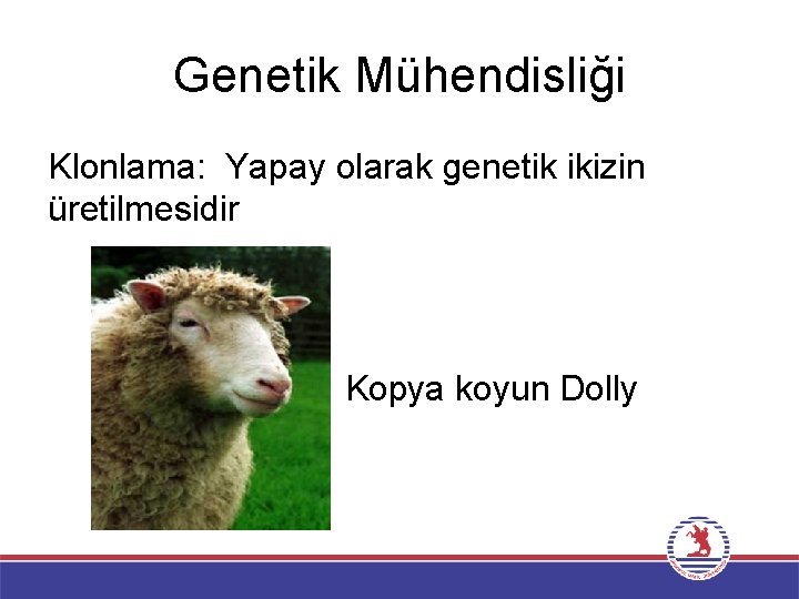 Genetik Mühendisliği Klonlama: Yapay olarak genetik ikizin üretilmesidir Kopya koyun Dolly 