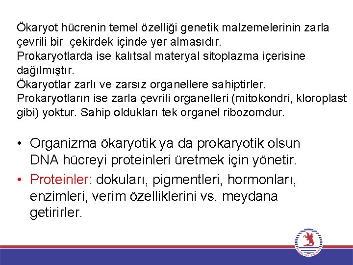 Ökaryot hücrenin temel özelliği genetik malzemelerinin zarla çevrili bir çekirdek içinde yer almasıdır. Prokaryotlarda