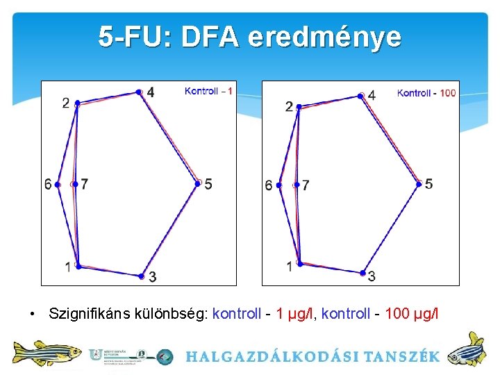 5 -FU: DFA eredménye • Szignifikáns különbség: kontroll - 1 μg/l, kontroll - 100