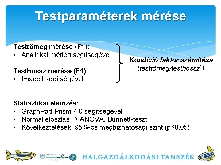 Testparaméterek mérése Testtömeg mérése (F 1): • Analitikai mérleg segítségével Testhossz mérése (F 1):