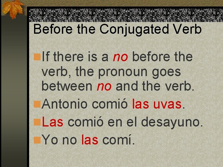 Before the Conjugated Verb n. If there is a no before the verb, the