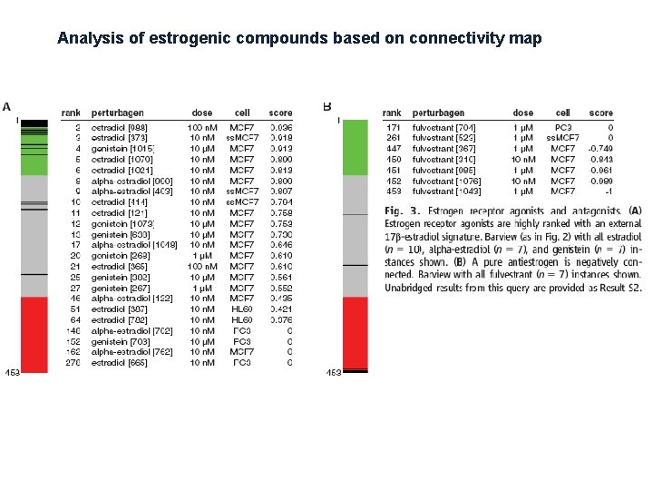 Analysis of estrogenic compounds based on connectivity map 