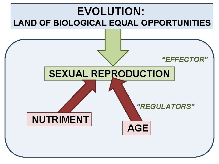 EVOLUTION: LAND OF BIOLOGICAL EQUAL OPPORTUNITIES “EFFECTOR” SEXUAL REPRODUCTION “REGULATORS” NUTRIMENT AGE 