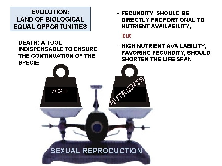 EVOLUTION: LAND OF BIOLOGICAL EQUAL OPPORTUNITIES • FECUNDITY SHOULD BE DIRECTLY PROPORTIONAL TO NUTRIENT