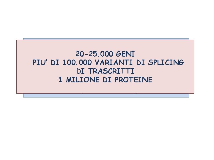 TROVARE IL 20 -25. 000 GENI COLLEGAMENTO PIU’ DI 100. 000 VARIANTI DI TRA