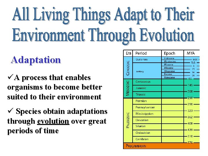 Adaptation üA process that enables organisms to become better suited to their environment ü