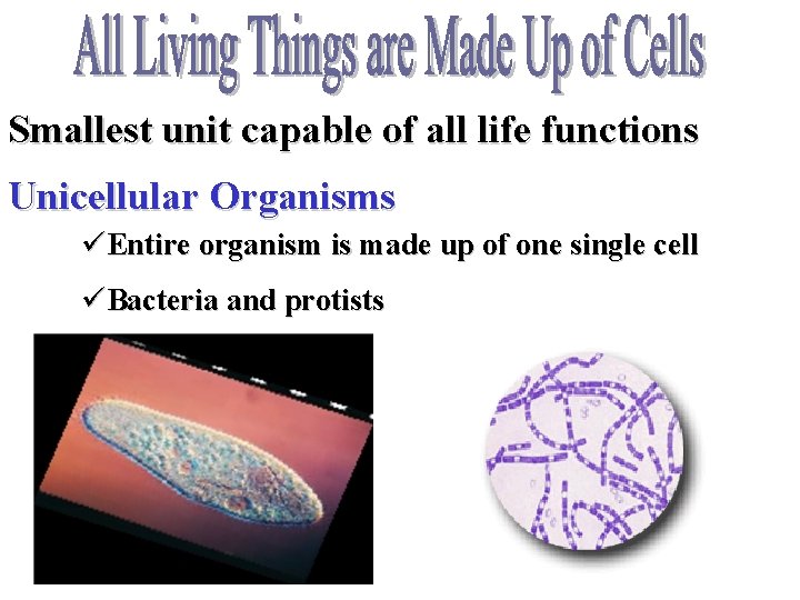 Smallest unit capable of all life functions Unicellular Organisms üEntire organism is made up