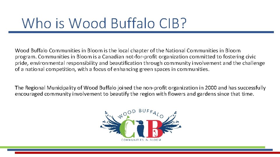 Who is Wood Buffalo CIB? Wood Buffalo Communities in Bloom is the local chapter Who is Wood Buffalo CIB? Wood Buffalo Communities in Bloom is the local chapter
