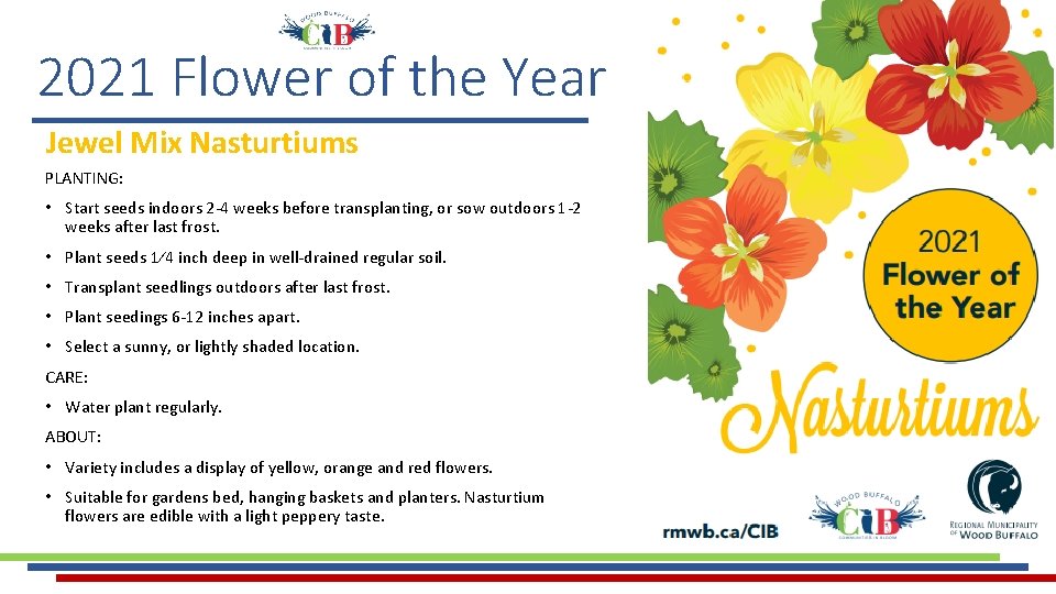 2021 Flower of the Year Jewel Mix Nasturtiums PLANTING: • Start seeds indoors 2 2021 Flower of the Year Jewel Mix Nasturtiums PLANTING: • Start seeds indoors 2