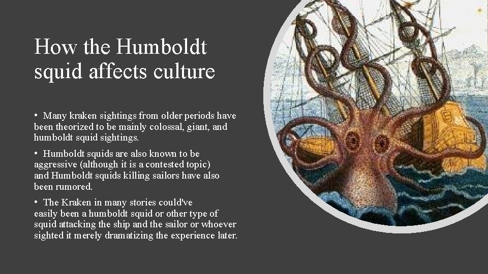 How the Humboldt squid affects culture • Many kraken sightings from older periods have