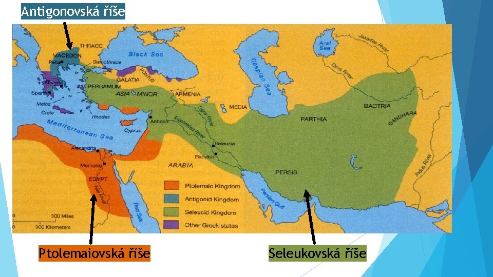 Antigonovská říše Ptolemaiovská říše Seleukovská říše 