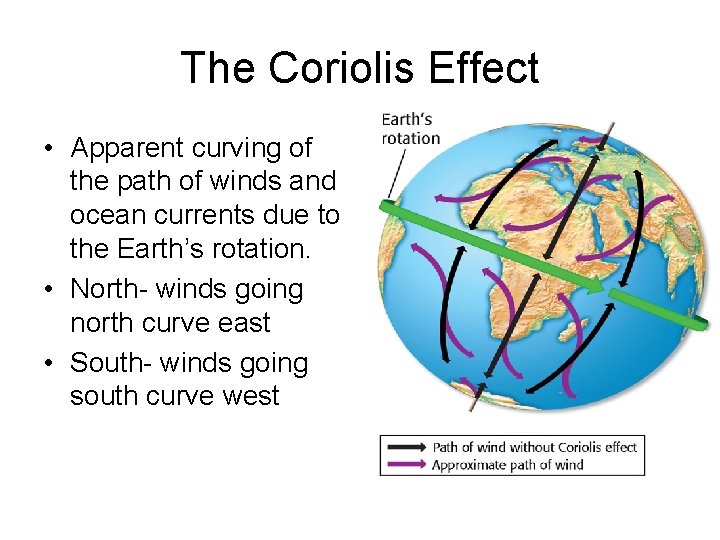 The Coriolis Effect • Apparent curving of the path of winds and ocean currents