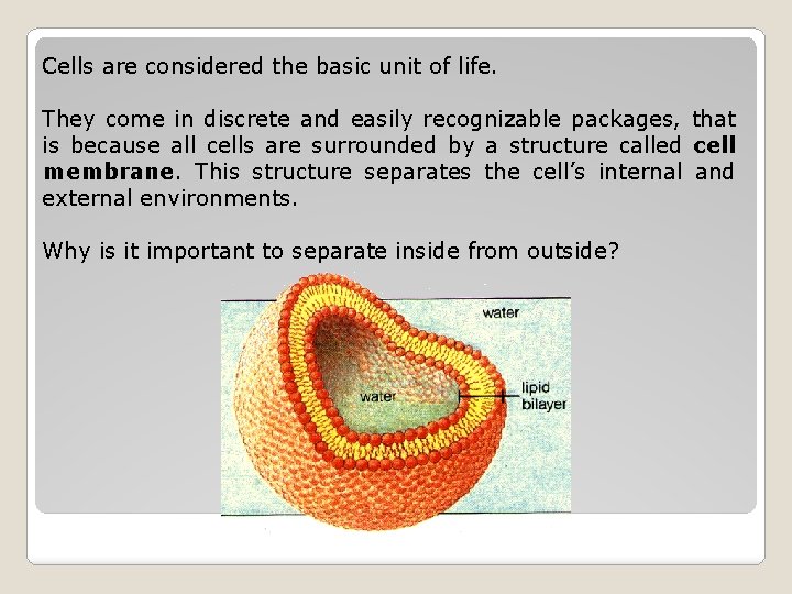 Cells are considered the basic unit of life. They come in discrete and easily