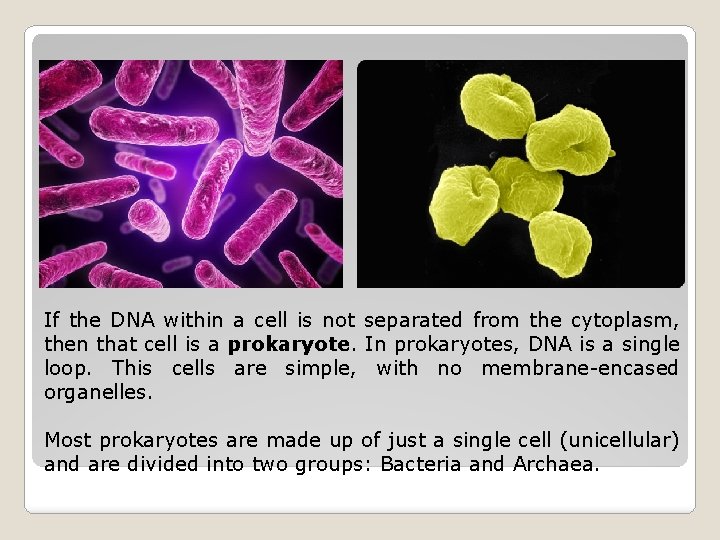 If the DNA within a cell is not separated from the cytoplasm, then that
