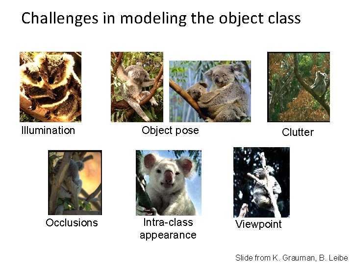 Challenges in modeling the object class Illumination Occlusions Object pose Intra-class appearance Clutter Viewpoint