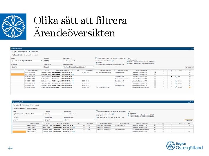 Olika sätt att filtrera Ärendeöversikten 44 