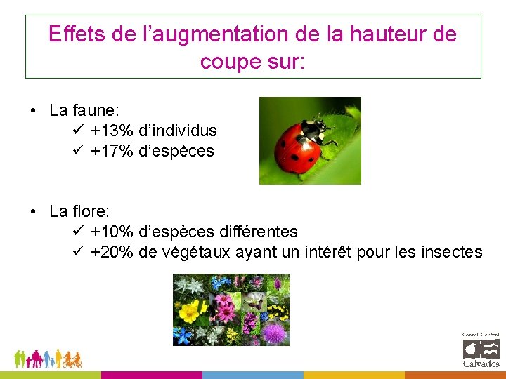 Effets de l’augmentation de la hauteur de coupe sur: • La faune: ü +13%