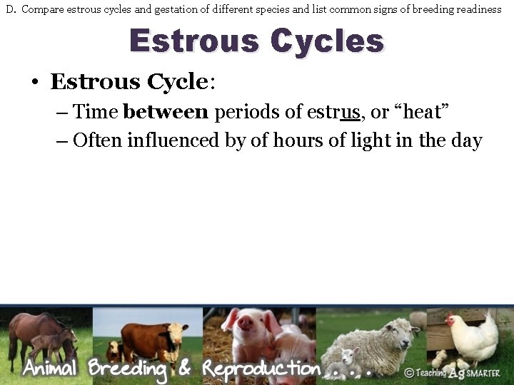 D. Compare estrous cycles and gestation of different species and list common signs of