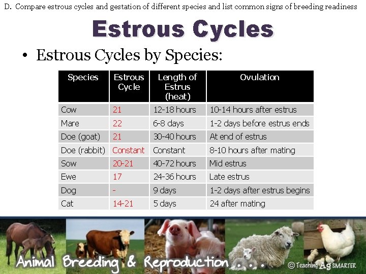D. Compare estrous cycles and gestation of different species and list common signs of