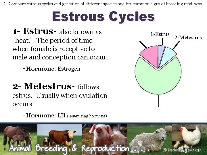 D. Compare estrous cycles and gestation of different species and list common signs of