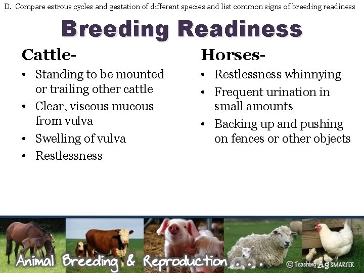 D. Compare estrous cycles and gestation of different species and list common signs of
