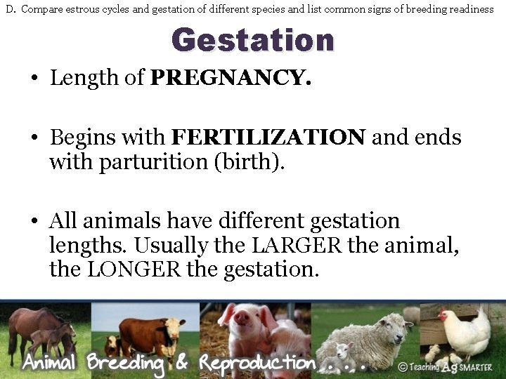 D. Compare estrous cycles and gestation of different species and list common signs of