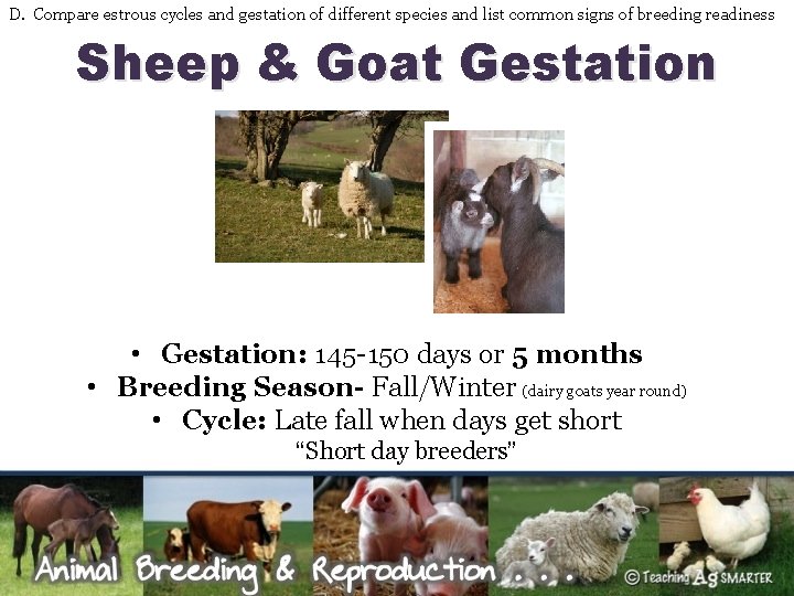 D. Compare estrous cycles and gestation of different species and list common signs of