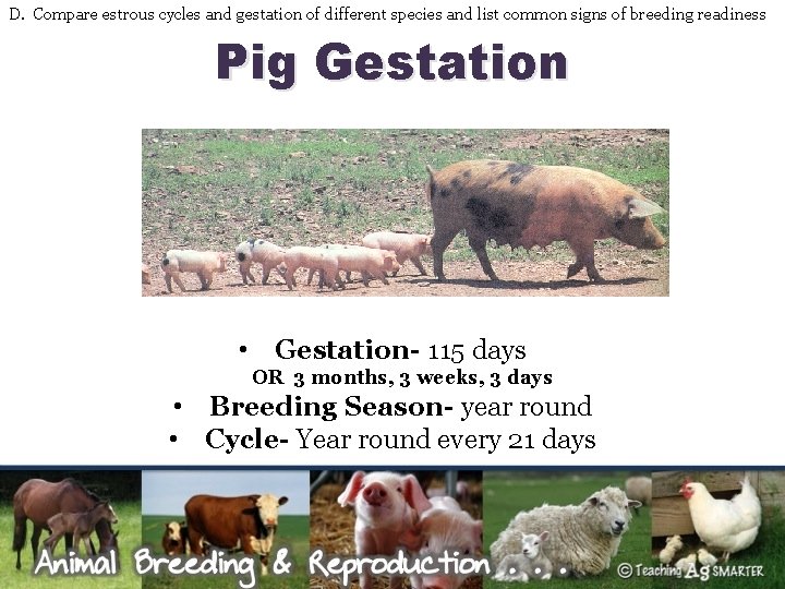 D. Compare estrous cycles and gestation of different species and list common signs of