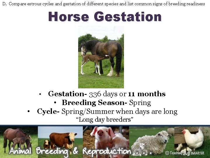 D. Compare estrous cycles and gestation of different species and list common signs of