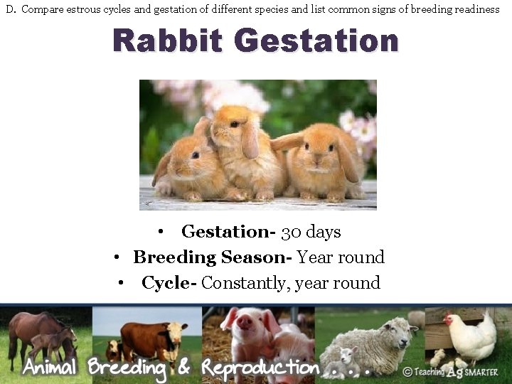 D. Compare estrous cycles and gestation of different species and list common signs of