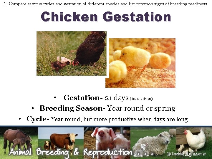 D. Compare estrous cycles and gestation of different species and list common signs of