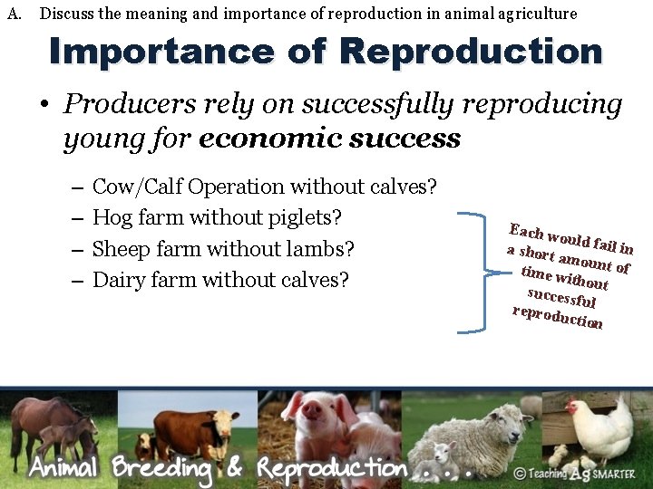 A. Discuss the meaning and importance of reproduction in animal agriculture Importance of Reproduction