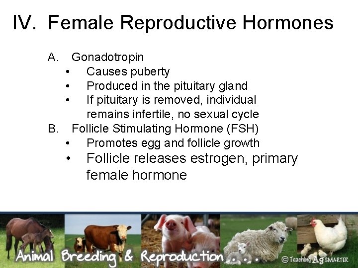 IV. Female Reproductive Hormones A. Gonadotropin • Causes puberty • Produced in the pituitary