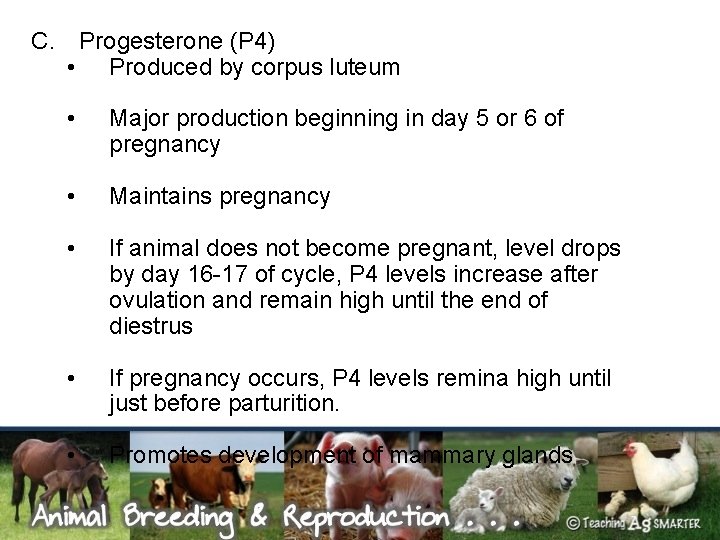 C. Progesterone (P 4) • Produced by corpus luteum • Major production beginning in