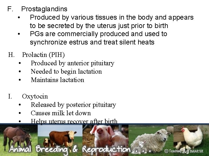 F. Prostaglandins • Produced by various tissues in the body and appears to be