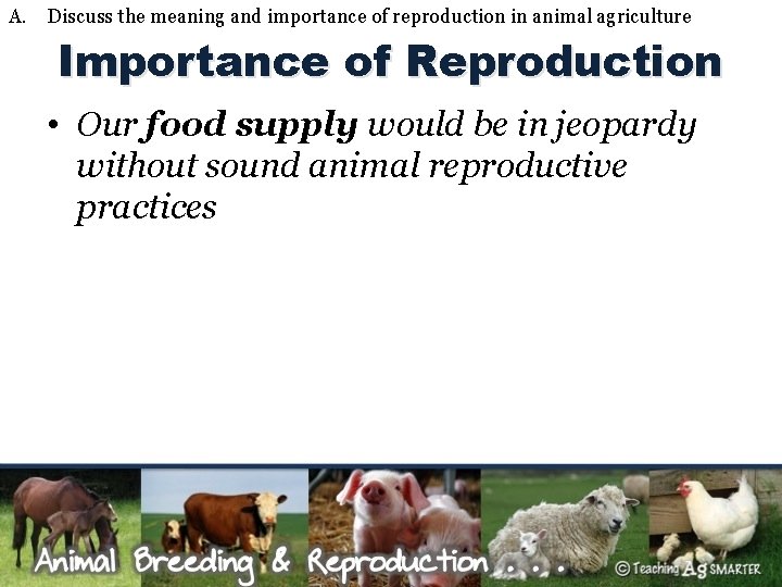 A. Discuss the meaning and importance of reproduction in animal agriculture Importance of Reproduction